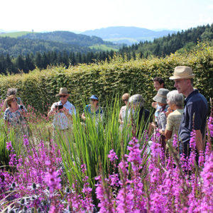 Nordischer Garten Markus Burkhard Schaugarten Gartenreisen Shop